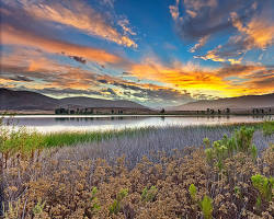 Movers in Chula Vista